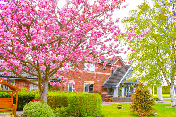 Saltshouse Haven Care Home